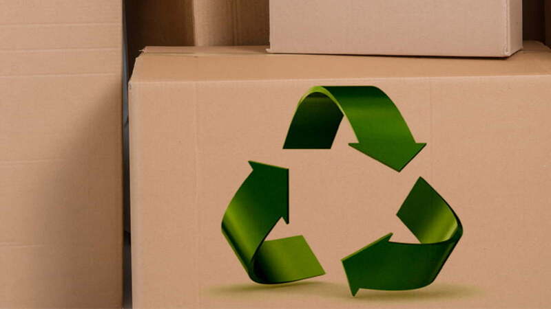 Exploring Opportunities in Sustainable Packaging