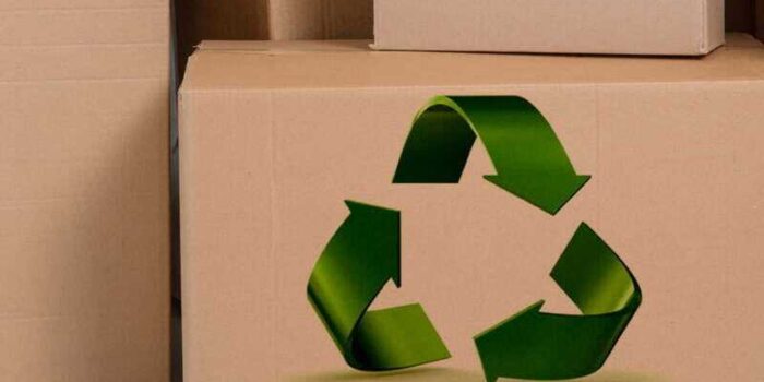 Exploring Opportunities in Sustainable Packaging