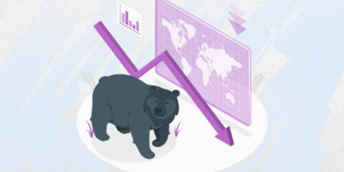 What is the difference in investing in bear market?