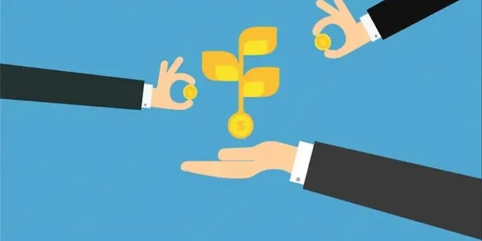 Understanding the Role of Venture Capital Firms