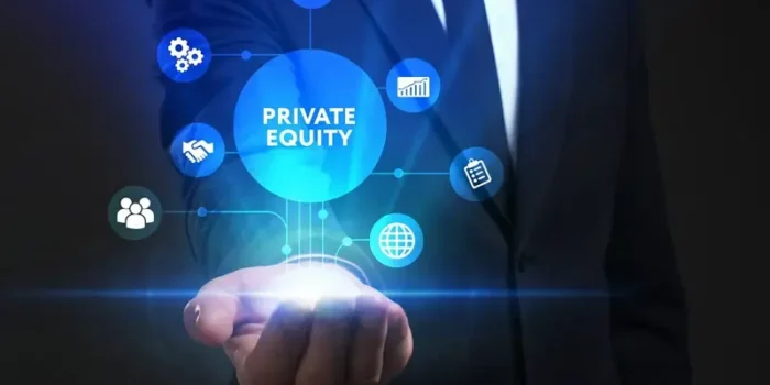 Understanding the Role of Private Equity Firms