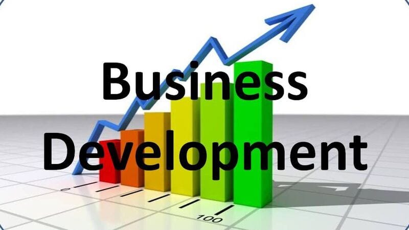 Business Strategy Development